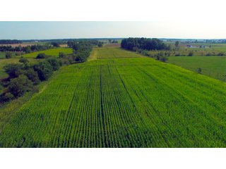 Allen County, Indiana Farmstead - FARMSTEAD AUCTION - 41+/- ACRES IN 4 TRACTS IN ALLEN COUNTY, INDIANA